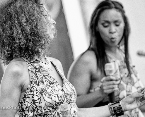 Jazz-At-The-Lake-2014-Amsterdam-117