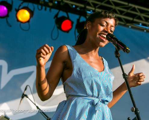 Jazz-At-The-Lake-2014-Amsterdam-78