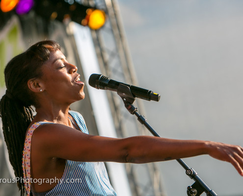 Jazz-At-The-Lake-2014-Amsterdam-96